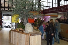 les_halles_de_narbonne_semaine_du_gout_ateliers_pedagogiques_2013-10