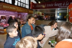 les_halles_de_narbonne_semaine_du_gout_ateliers_pedagogiques_2013-15