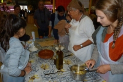 les_halles_de_narbonne_semaine_du_gout_ateliers_pedagogiques_2013-18