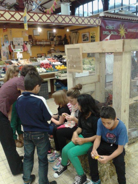 semaine-du-gout_halles_de_narbonne_Mike-le-callennec_service_promotion_de_la__sante_narbonne-02