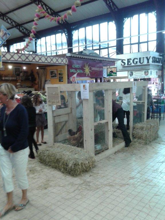 semaine-du-gout_halles_de_narbonne_Mike-le-callennec_service_promotion_de_la__sante_narbonne-11