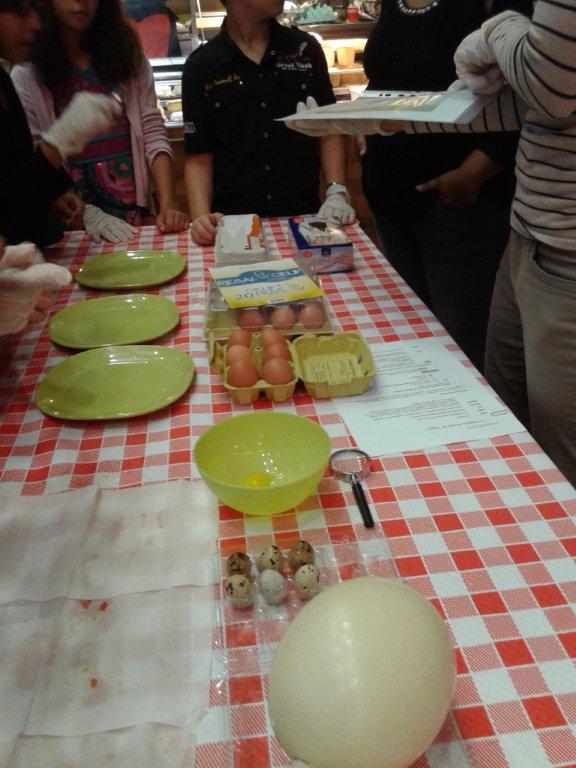 semaine-du-gout_halles_de_narbonne_Mike-le-callennec_service_promotion_de_la__sante_narbonne-18