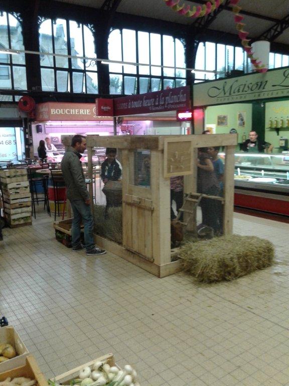 semaine-du-gout_halles_de_narbonne_Mike-le-callennec_service_promotion_de_la__sante_narbonne-30