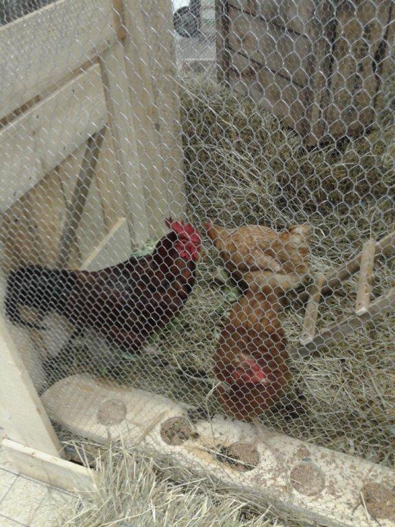 semaine-du-gout_halles_de_narbonne_Mike-le-callennec_service_promotion_de_la__sante_narbonne-31