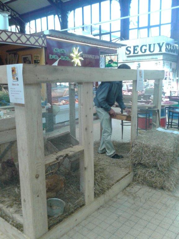 semaine-du-gout_halles_de_narbonne_firat_abbas_tapas_de_la_clape_service_promotion_de_la__sante_narbonne-19