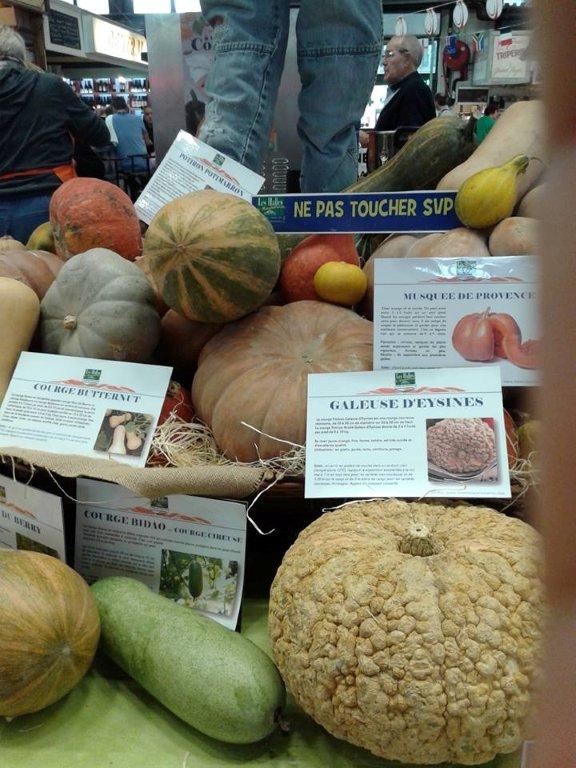 halles_narbonne_semaine_du_gout_courges_sculpteur_eric_berthault_cakes_soupes_degustation_animation_2015-01