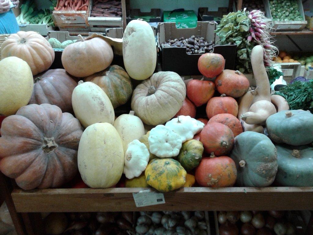 halles_narbonne_semaine_du_gout_courges_sculpteur_eric_berthault_cakes_soupes_degustation_animation_2015-07