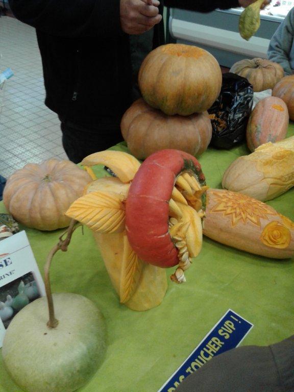 halles_narbonne_semaine_du_gout_courges_sculpteur_eric_berthault_cakes_soupes_degustation_animation_2015-18