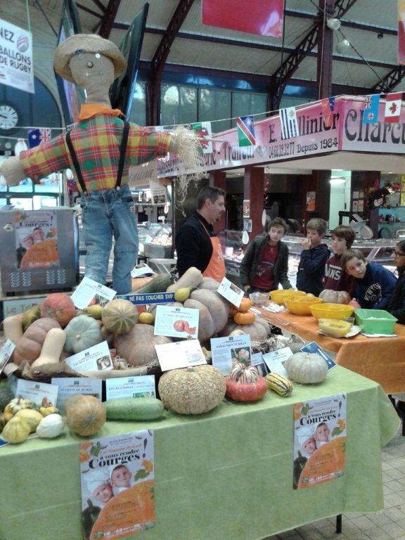 halles_narbonne_semaine_du_gout_courges_sculpteur_eric_berthault_cakes_soupes_degustation_animation_2015-28