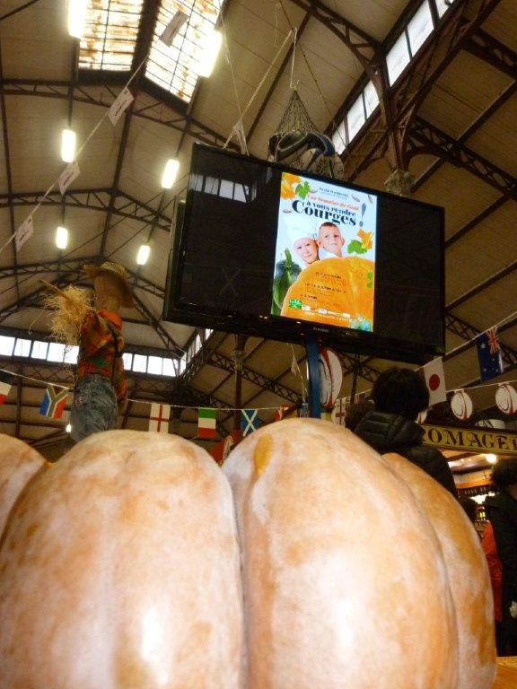 halles_narbonne_semaine_du_gout_courges_vin_primeur_banda_couleur_soleil_soupes_degustation_animation_2015-30