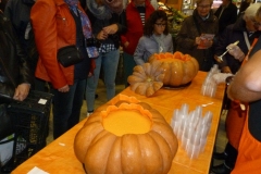 halles_narbonne_semaine_du_gout_courges_vin_primeur_banda_couleur_soleil_soupes_degustation_animation_2015-06
