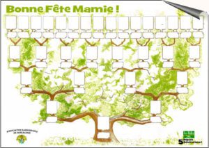 arbre-genealogique-halles_narbonne_retaille