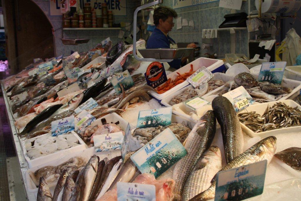 Sardine Océan Atlantique - 500g - Les Halles de Narbonne