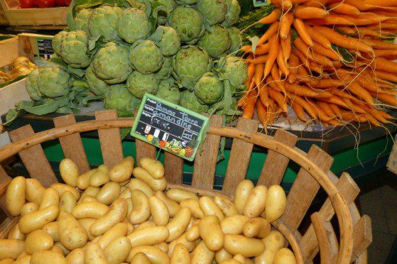 Canguilhem Primeur
