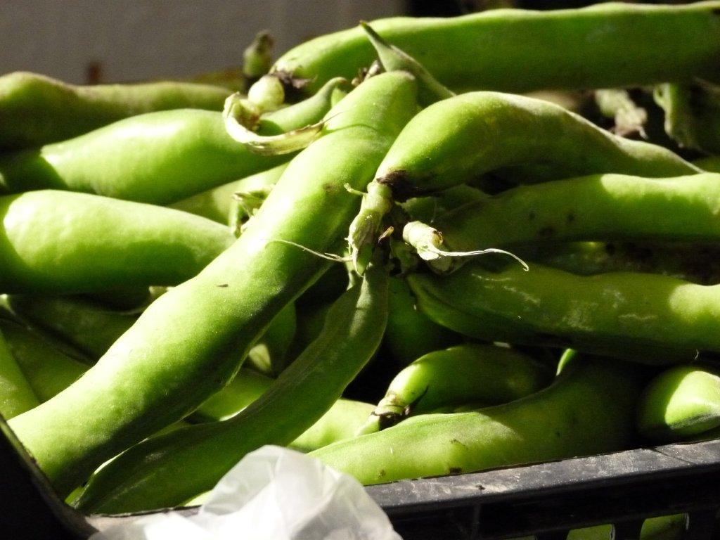 halles_de_narbonne_torregrossa_marie_eric_primeur_fruits_legumes_frais_promotion_produits_locaux-10