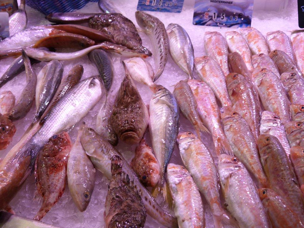 halles_narbonne_la_maree_gruissannaise-poissonnerie_pecheur-09