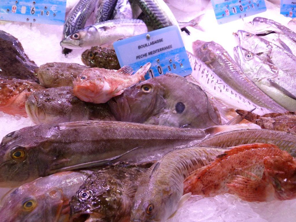 halles_narbonne_la_maree_gruissannaise-poissonnerie_pecheur-10