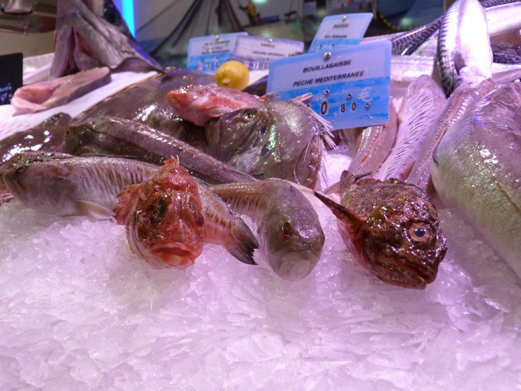 halles_narbonne_la_maree_gruissannaise-poissonnerie_pecheur-14