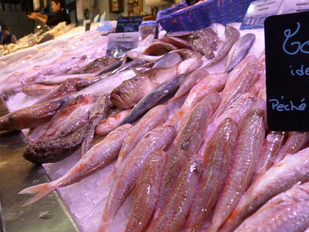 halles_narbonne_la_maree_gruissannaise-poissonnerie_pecheur-15