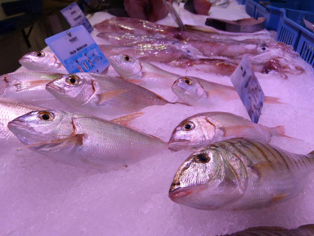 halles_narbonne_la_maree_gruissannaise-poissonnerie_pecheur-17