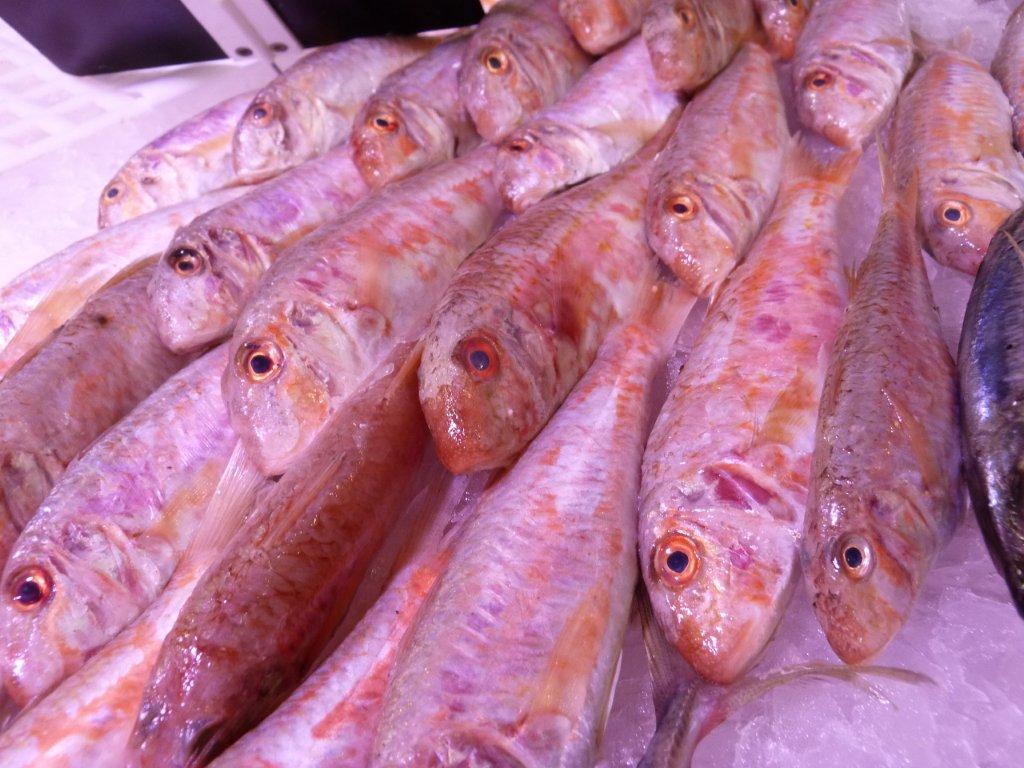 halles_narbonne_la_maree_gruissannaise-poissonnerie_pecheur-34