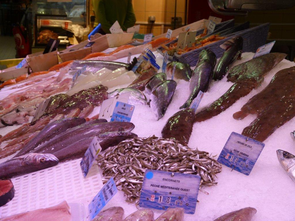 Sardine Océan Atlantique - 500g - Les Halles de Narbonne