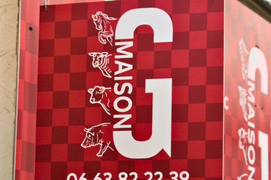 MAISON G MAISON G