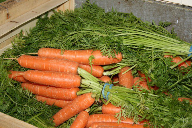 Produits-halles-narbonne-HD-5