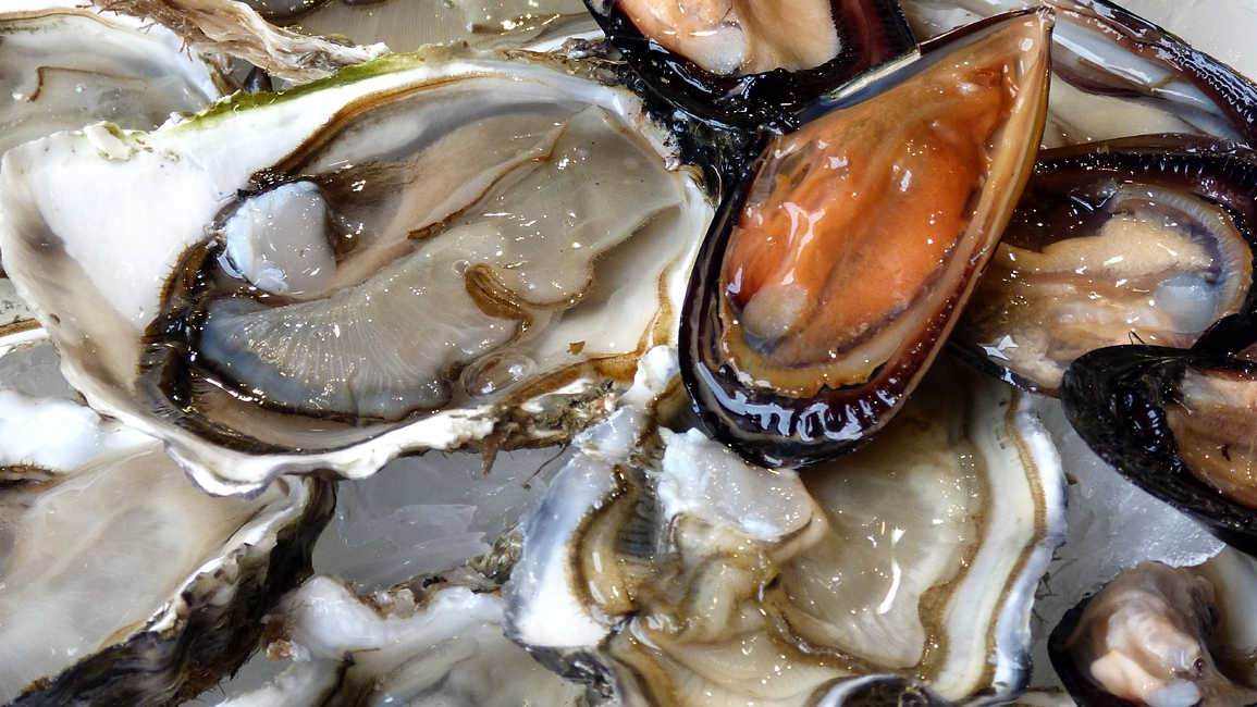 fruits de mer halles narbonne