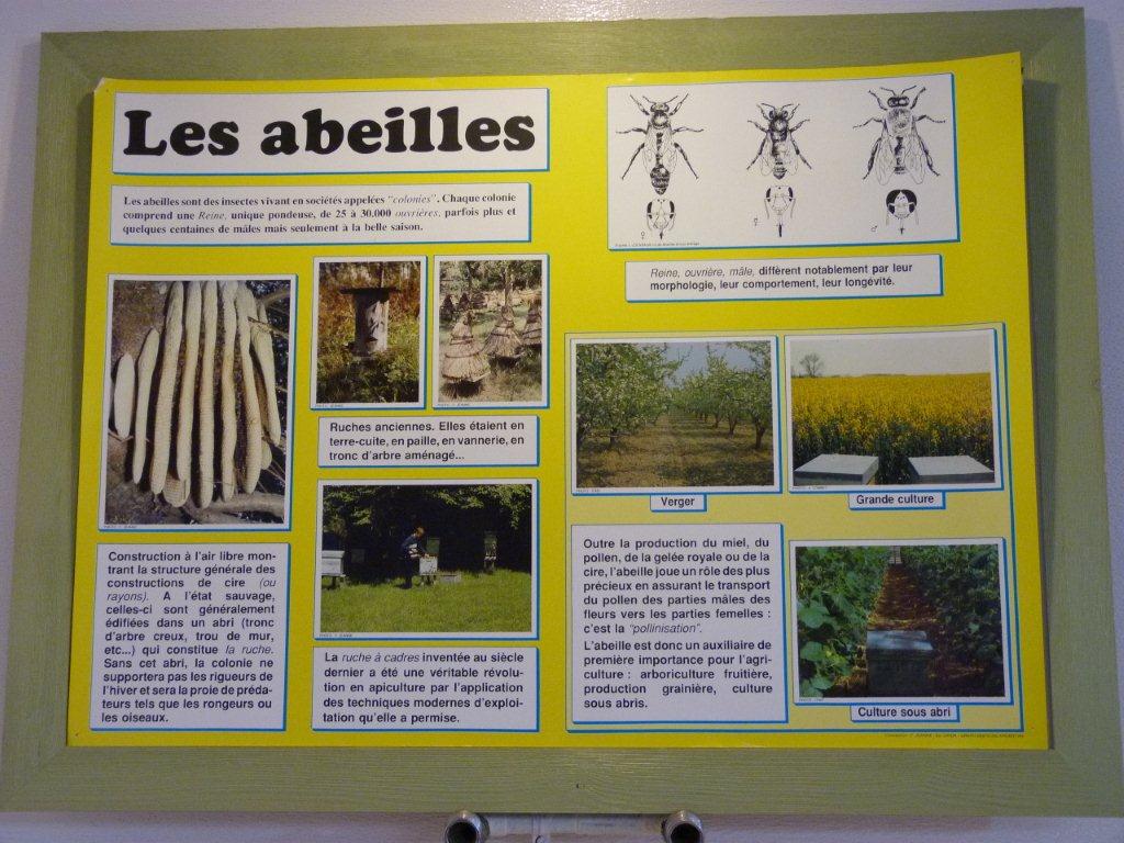 halles_narbonne_la-ruche-des-halles_miel_propolis_gelee-royale_sucettes_bonbons_38