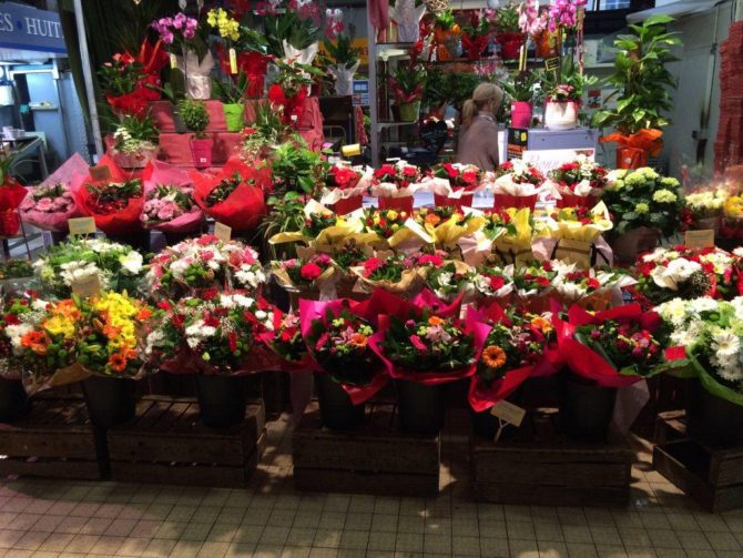 halles_narbonne_le_jardin_de_sophie_fleuriste_bergoin-02