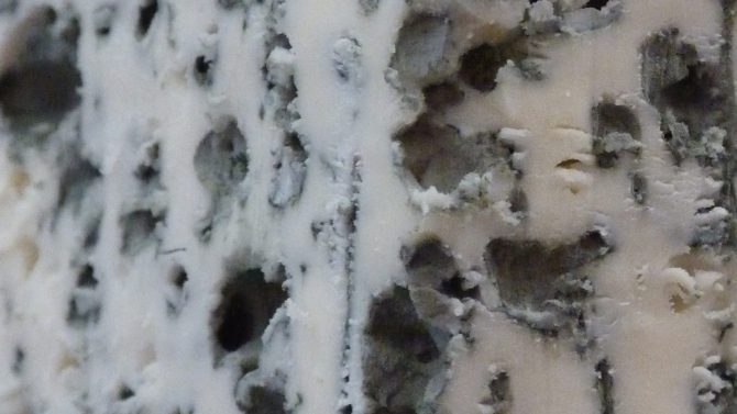 Slider photo roquefort_halles_narbonne