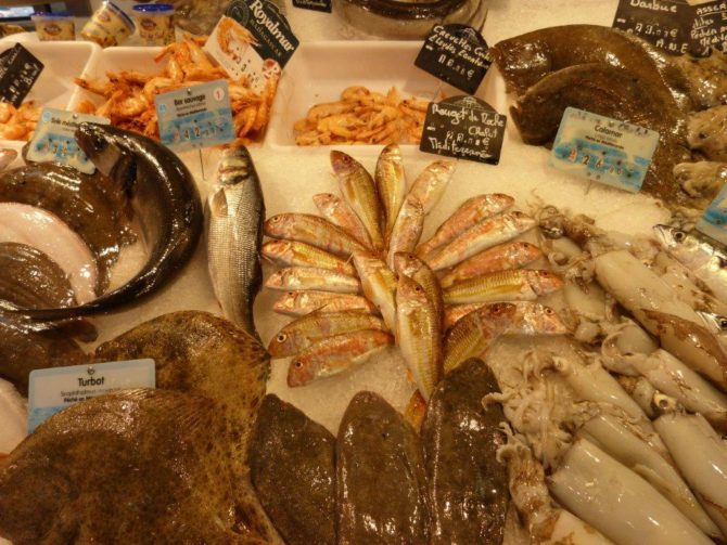halles_narbonne_camille_eychenne_hippocampe_le_grand_bleu_poissonnier-02