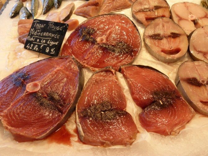 halles_narbonne_camille_eychenne_hippocampe_le_grand_bleu_poissonnier-05
