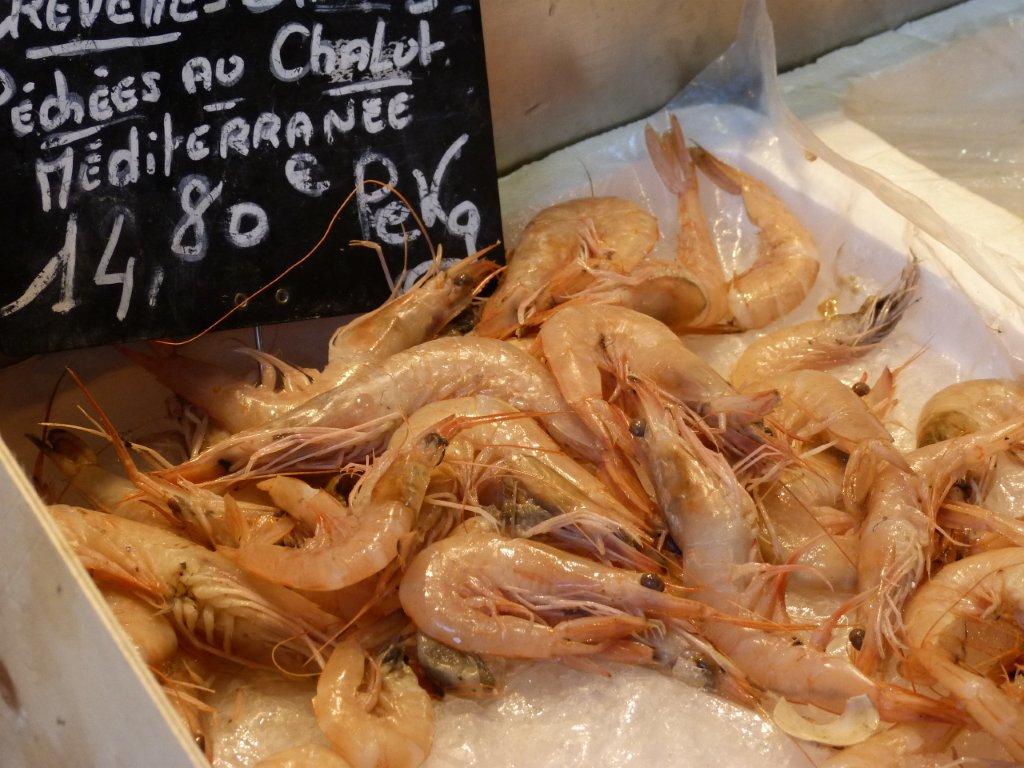 halles_narbonne_camille_eychenne_hippocampe_le_grand_bleu_poissonnier-07