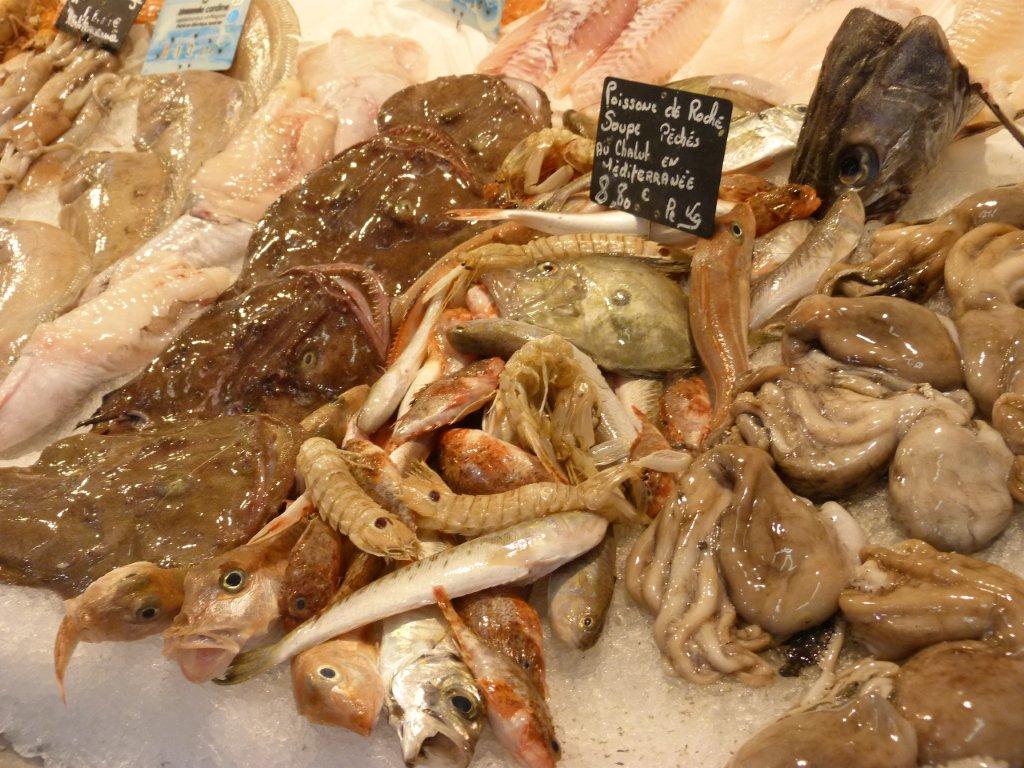 halles_narbonne_camille_eychenne_hippocampe_le_grand_bleu_poissonnier-12