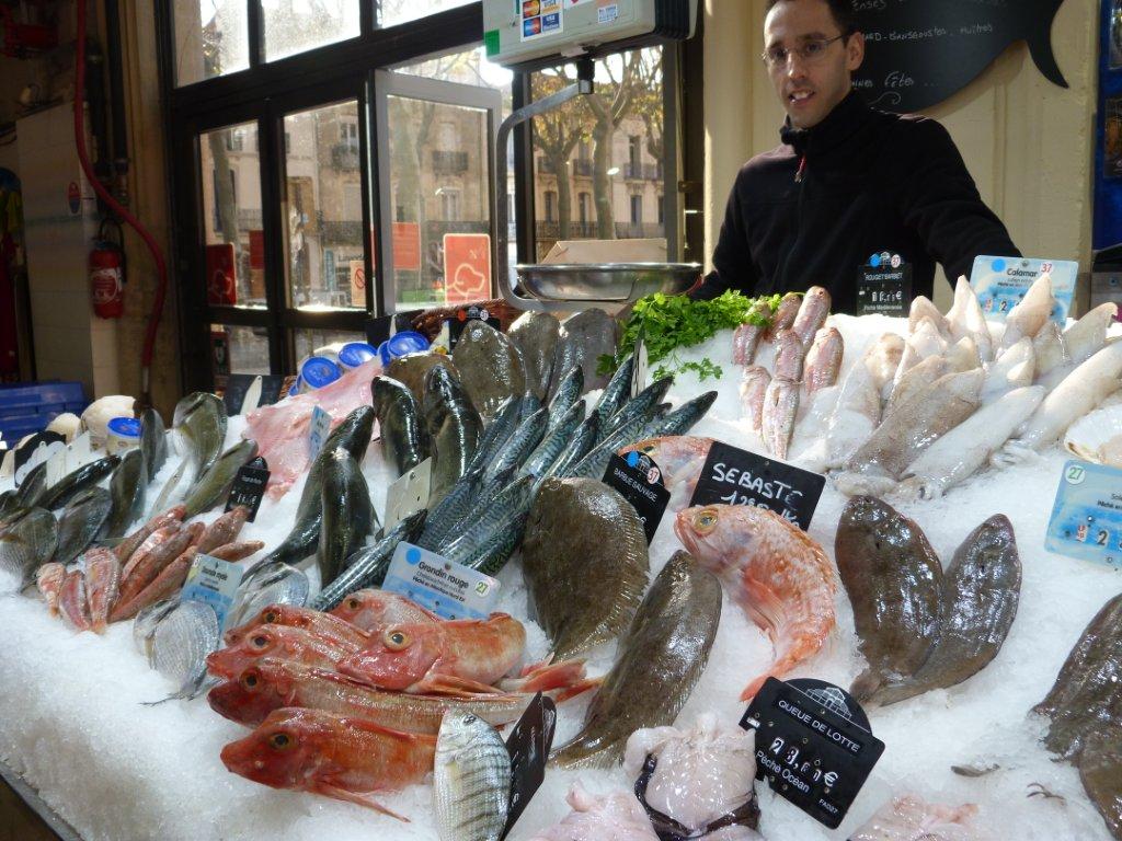 Sardine Océan Atlantique - 500g - Les Halles de Narbonne