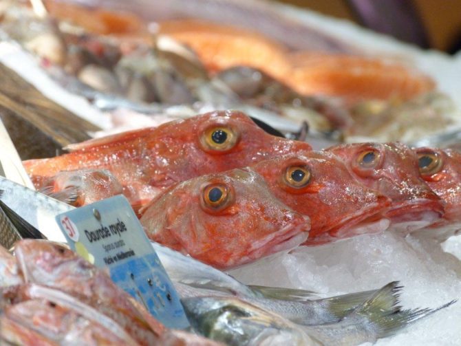 halles_narbonne_camille_eychenne_hippocampe_le_grand_bleu_poissonnier-27