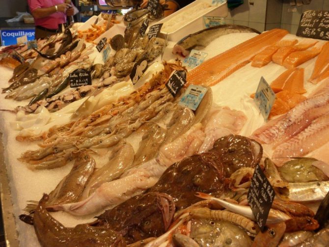 halles_narbonne_camille_eychenne_hippocampe_poissonnier-17