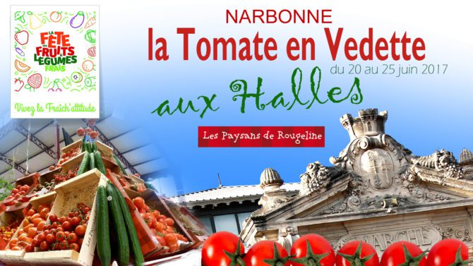 Layer Slide tomate FA17