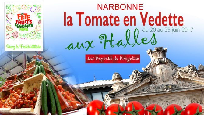 Slide tomate FA17