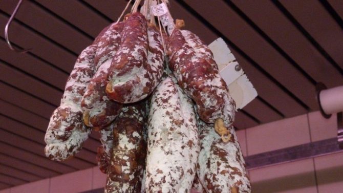 halles_narbonne_boucher_charcutier_dubois_et_fils_artisan_commercants_-08