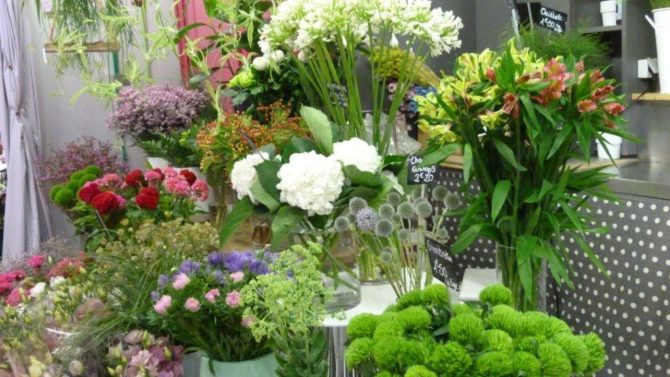 halles_narbonne_fleuriste_chez_rolande_fleurs_artisan-03