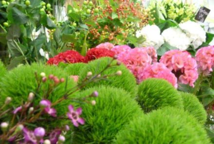 Rolande Fleurs