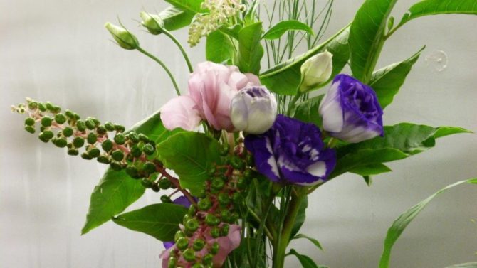 halles_narbonne_fleuriste_chez_rolande_fleurs_artisan-08