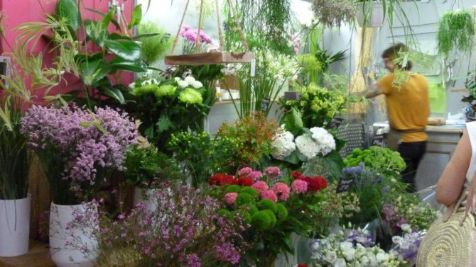 halles_narbonne_fleuriste_chez_rolande_fleurs_artisan-16