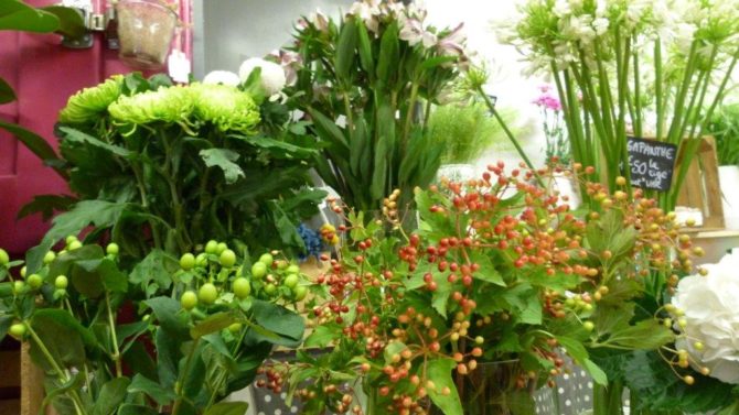 halles_narbonne_fleuriste_chez_rolande_fleurs_artisan-17