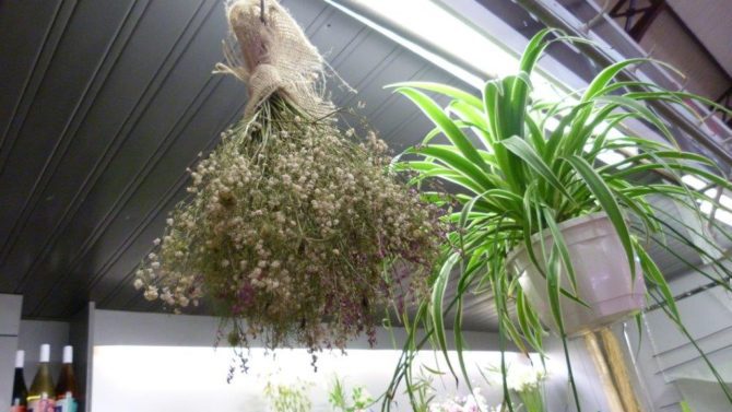 halles_narbonne_fleuriste_chez_rolande_fleurs_artisan-19