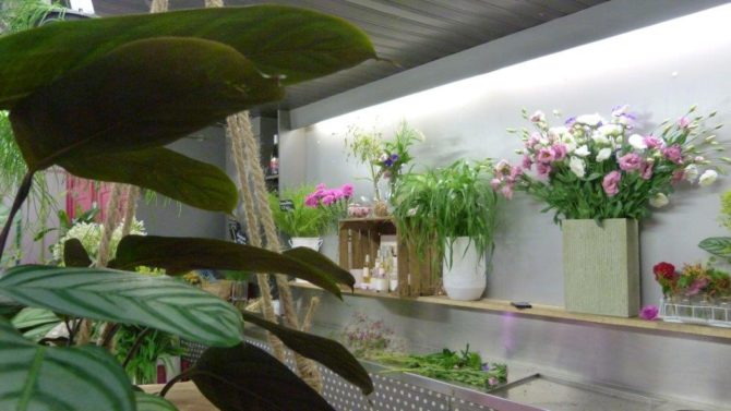 halles_narbonne_fleuriste_chez_rolande_fleurs_artisan-20