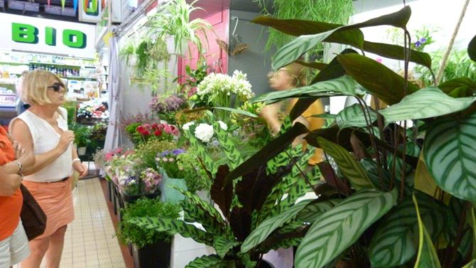 halles_narbonne_fleuriste_chez_rolande_fleurs_artisan-21